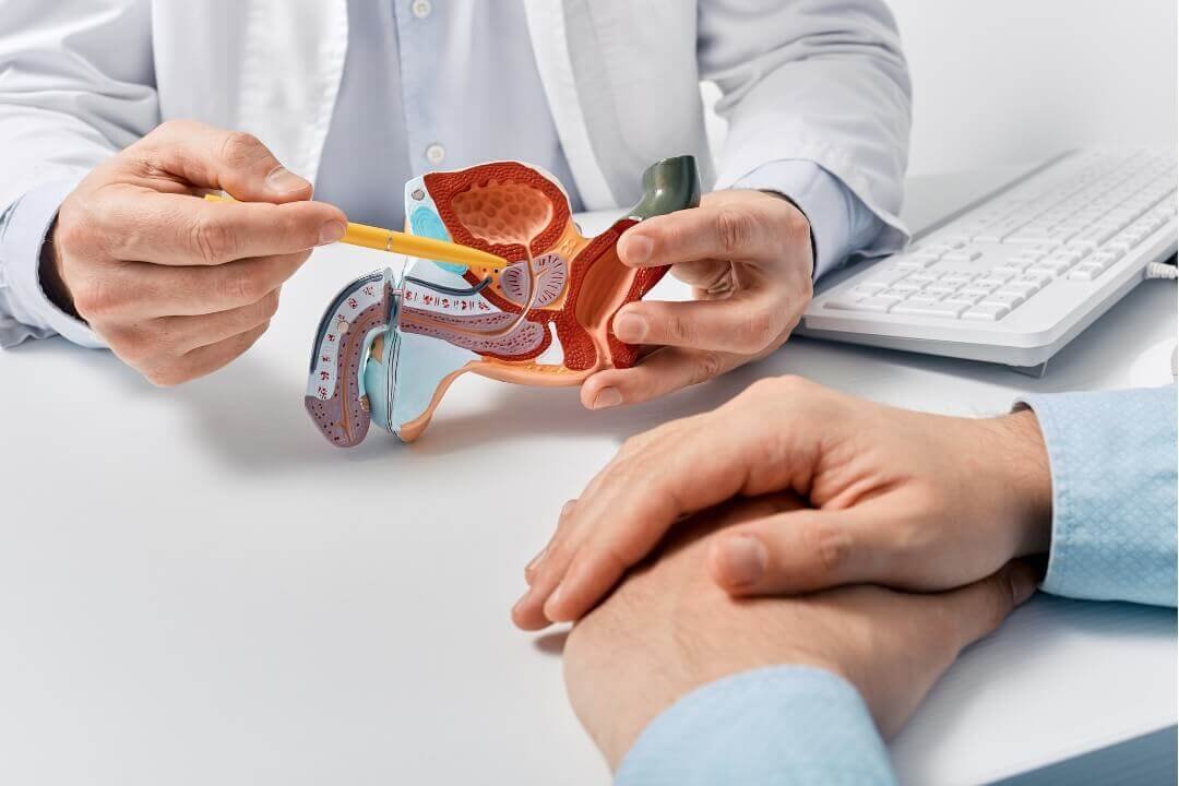 hiperplasia prostatica benigna clinica ultravaz ultrassom imperatriz Hiperplasia Prostática Benigna | Clínica Ultra Vaz - Ultrassom Imperatriz